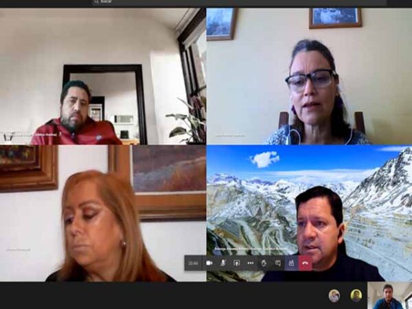 REALIZACIÓN DE ASESORÍA PREVISIONALES VÍA CONEXIÓN VIRTUAL