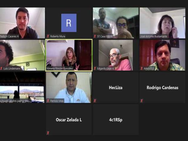 GESTIONES SINDICALES POR LEY DE GLACIARES CON SENADORA XIMENA RINCON